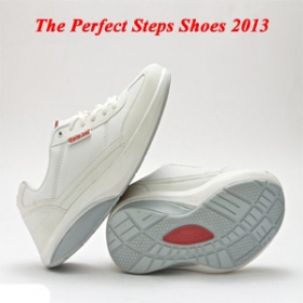 پرفکت استپس Perfect Steps 2013
